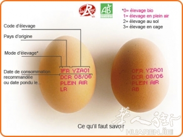 你知道法国鸡蛋上的红戳都代表什么吗？看看你平常吃鸡蛋