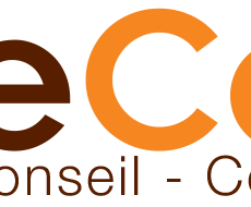 logo-egideconseil