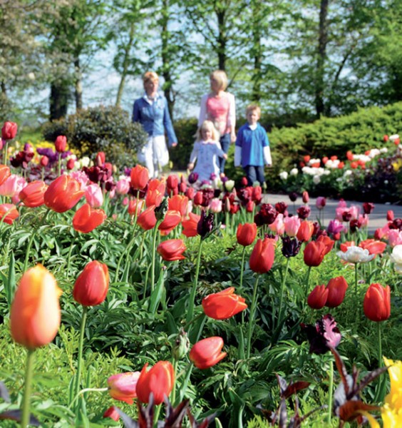 库肯霍夫 世界上最美丽的春季花园