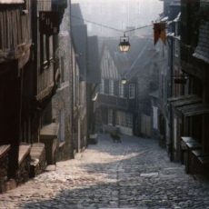 eu168_3947.jpg
