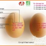你知道法国鸡蛋上的红戳都代表什么吗？看看你平常吃鸡蛋